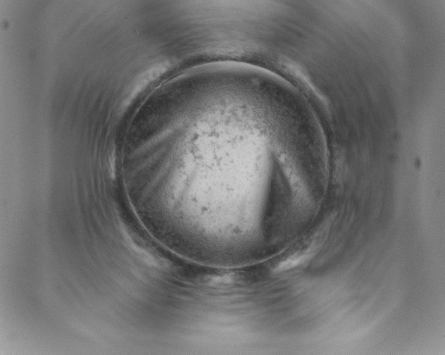 X0000088650068200706081648