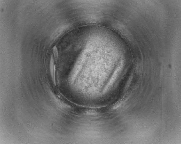 X0000088650070200706081648