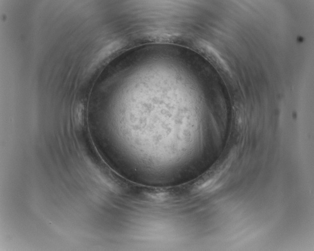 X0000088650071200706081648