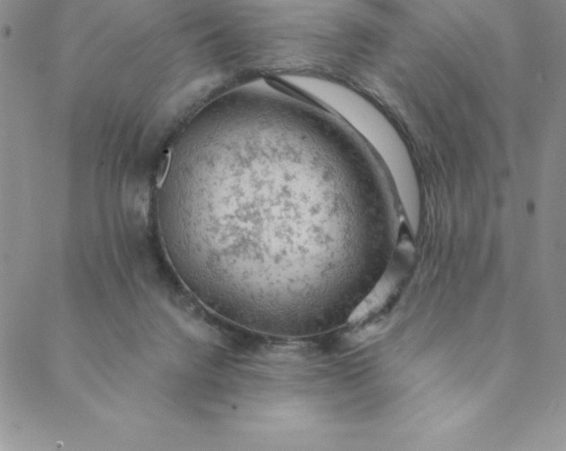 X0000088650072200706081648