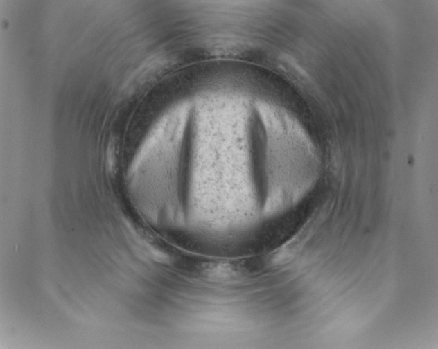 X0000088650074200706081648