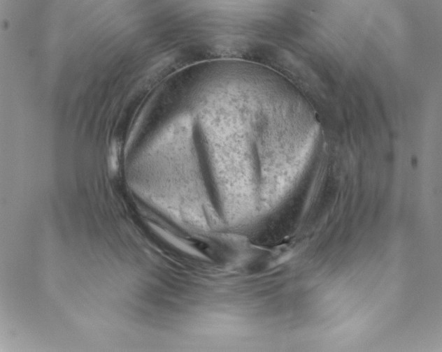 X0000088650075200706081648