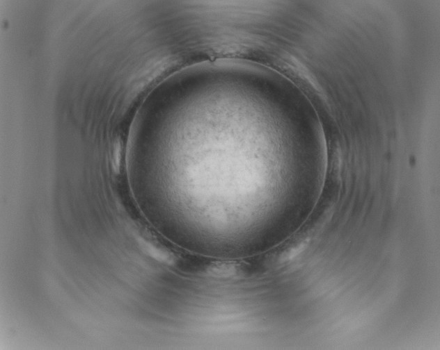 X0000088650076200706081648