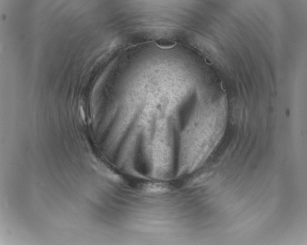 X0000088650077200706081648