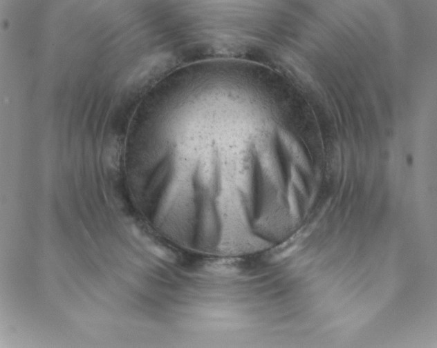 X0000088650078200706081648