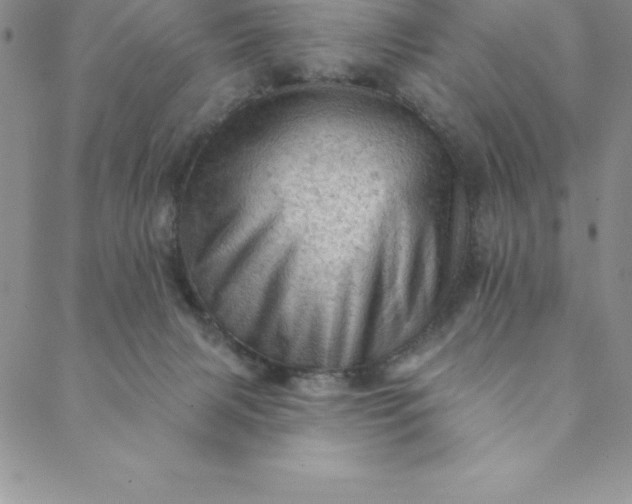 X0000088650079200706081648