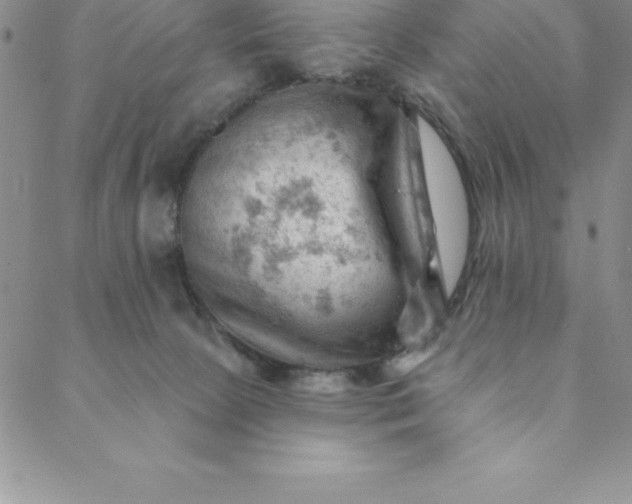 X0000088650081200706081648