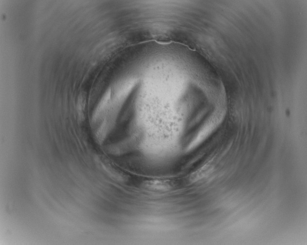 X0000088650082200706081648