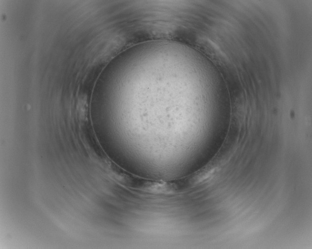 X0000088650083200706081648