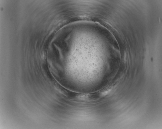 X0000088650084200706081648