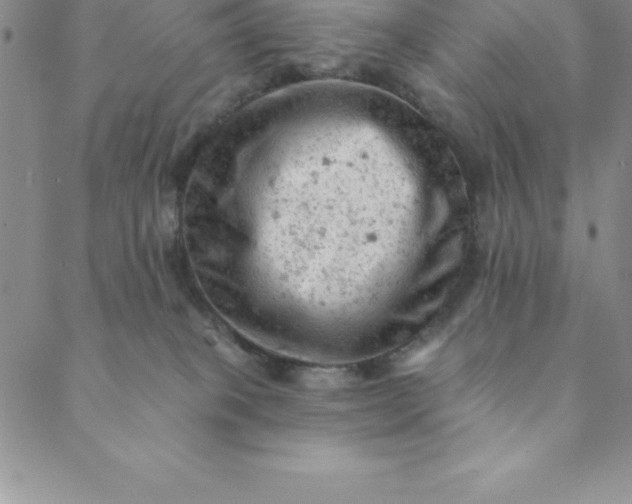 X0000088650085200706081648