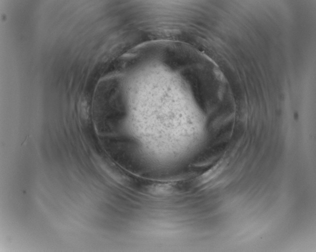 X0000088650086200706081648