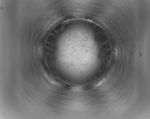 X0000088650088200706081648