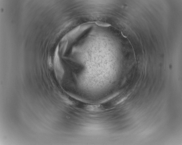 X0000088650089200706081648