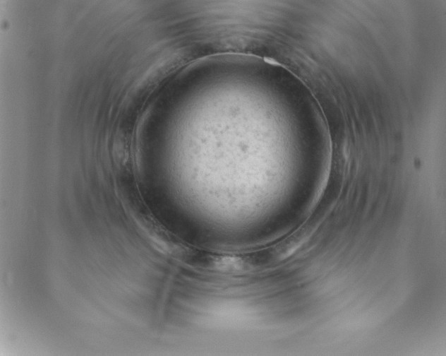 X0000088650091200706081648