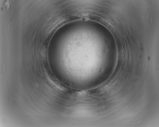 X0000088650092200706081648