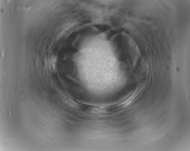 X0000088650094200706081648