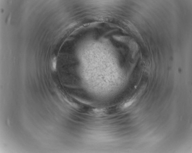 X0000088650095200706081648