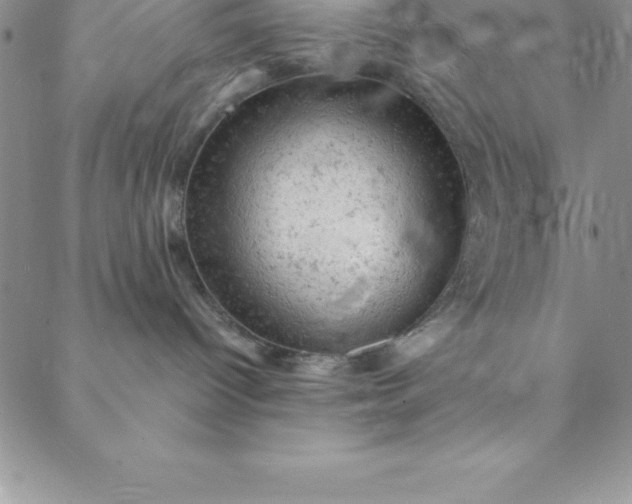 X0000088650096200706081648