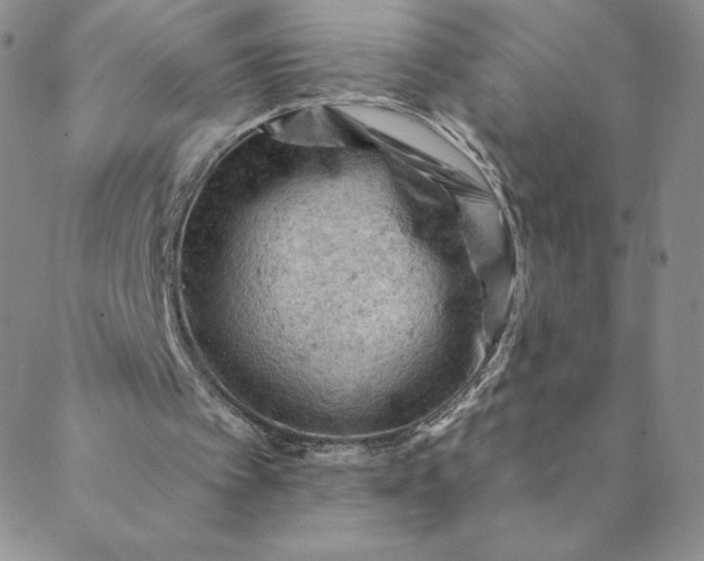 X0000088650097200706081648