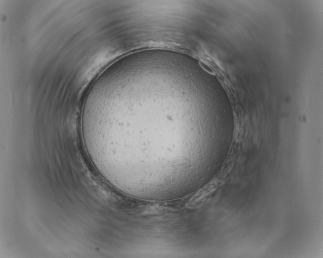 X0000088650098200706081648