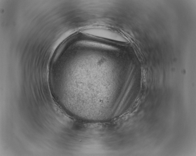 X0000088650100200706081647