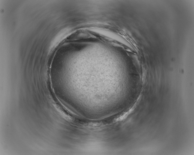 X0000088650101200706081647