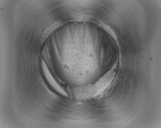 X0000088650105200706081647