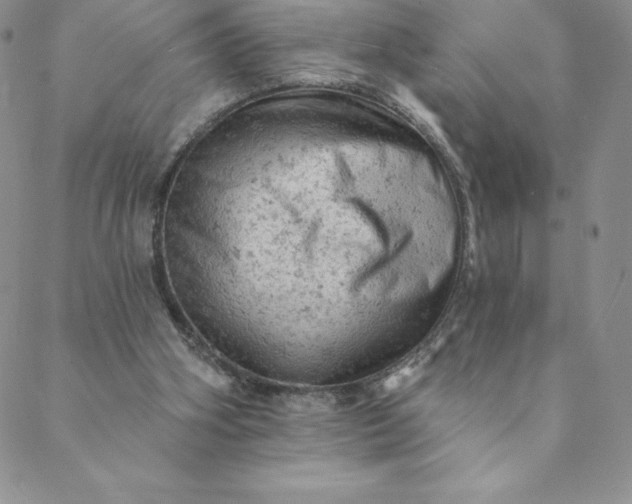 X0000088650106200706081647