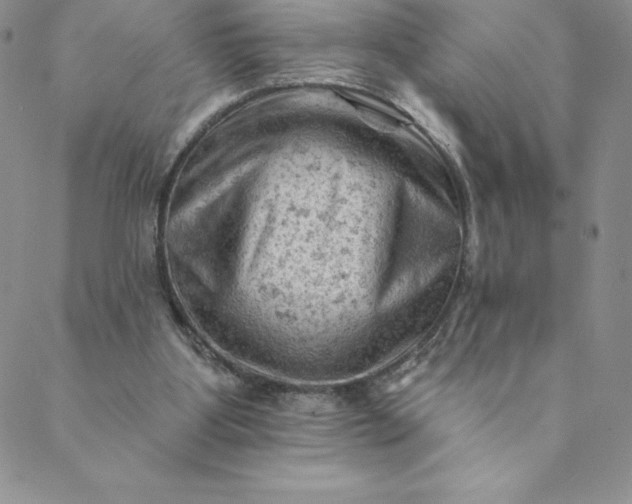 X0000088650107200706081647