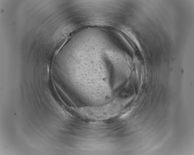 X0000088650109200706081647