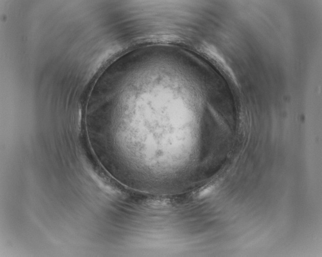 X0000088650110200706081647