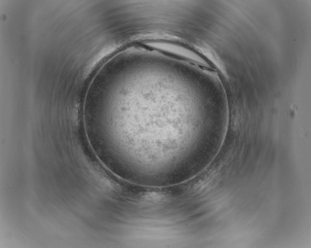 X0000088650111200706081647