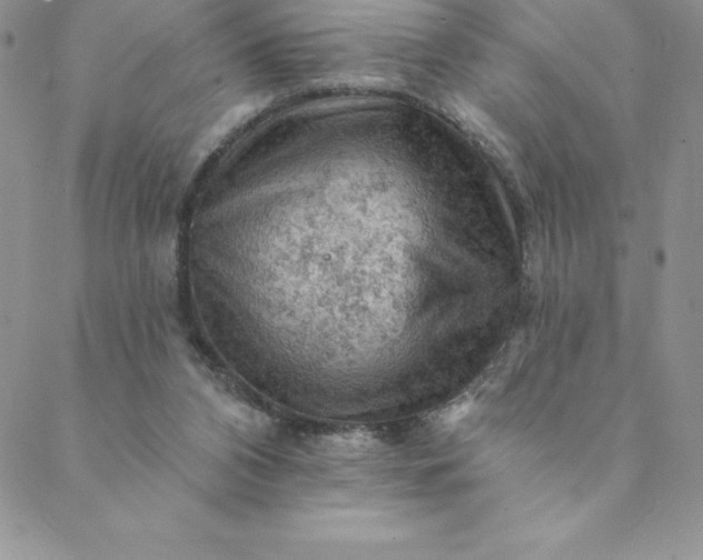 X0000088650112200706081647