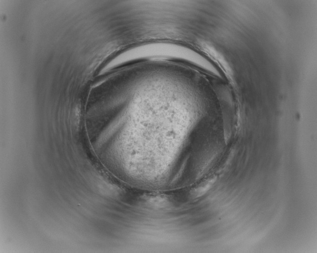 X0000088650113200706081647