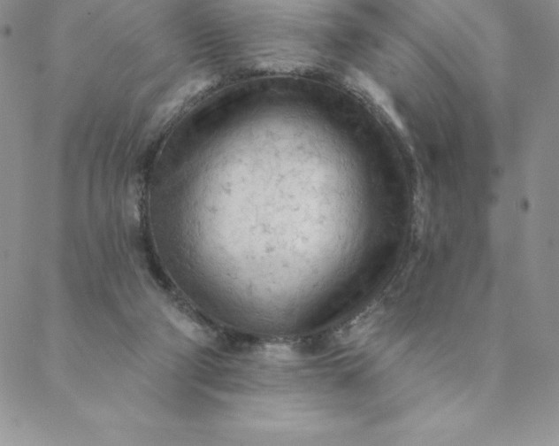 X0000088650114200706081647