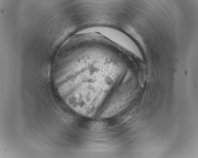 X0000088650115200706081647