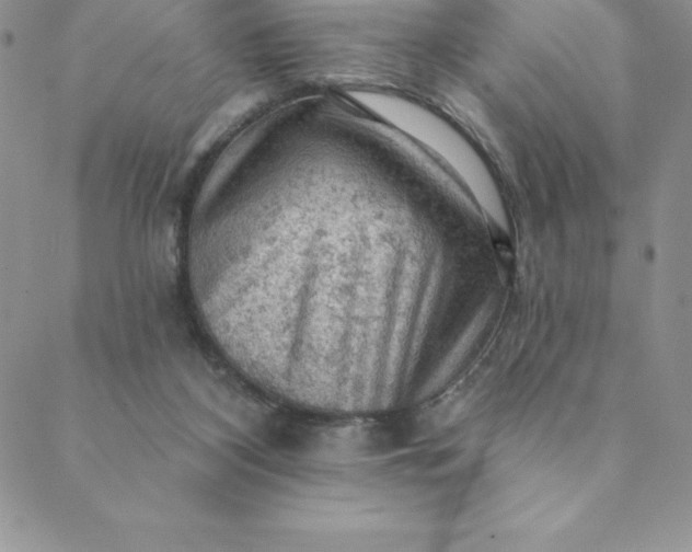 X0000088650116200706081647