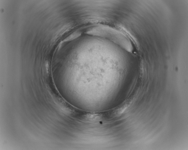 X0000088650117200706081647