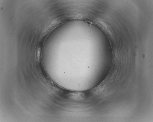 X0000088650118200706081647