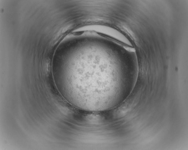 X0000088650119200706081647