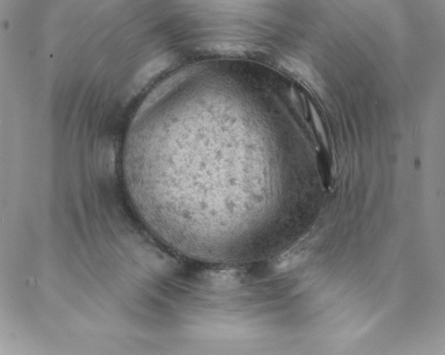 X0000088650120200706081647