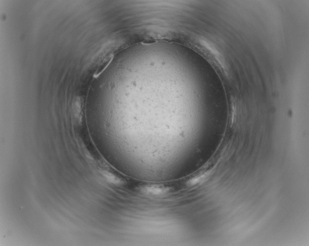 X0000088650121200706081647