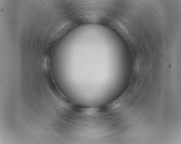 X0000088650122200706081647