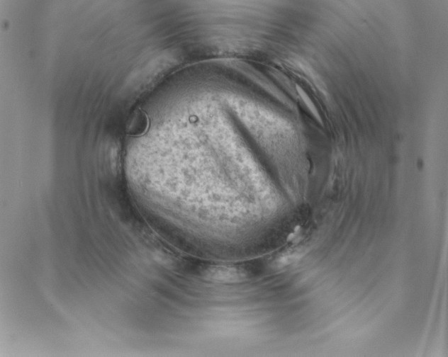 X0000088650123200706081647