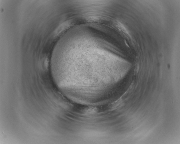 X0000088650124200706081647