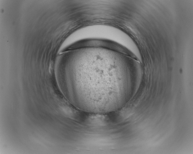 X0000088650125200706081647