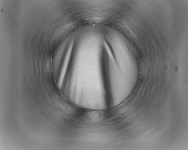 X0000088650126200706081647