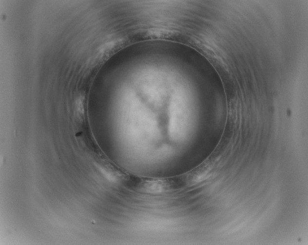 X0000088650127200706081647