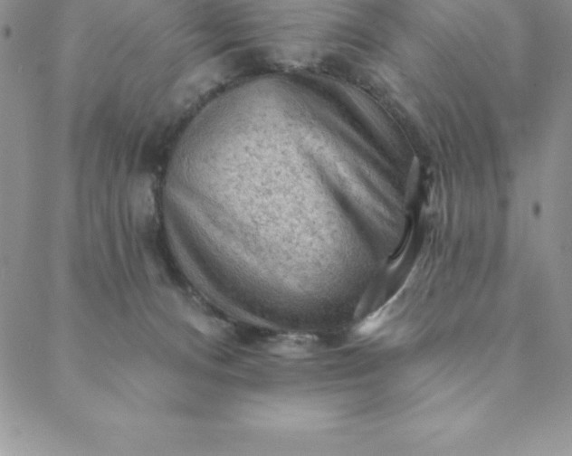 X0000088650128200706081647